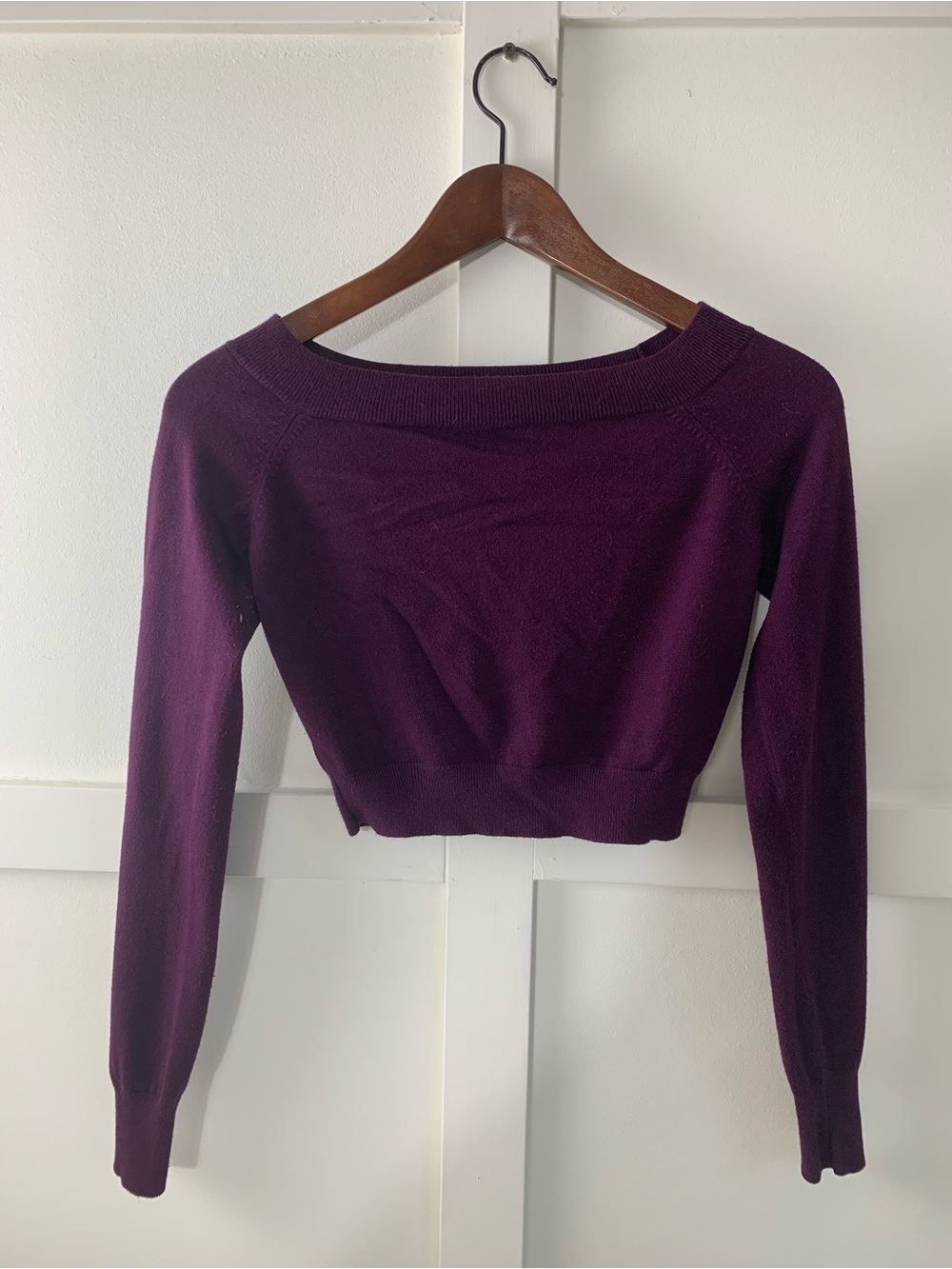 Express Cropped Boatneck Sweater in Deep Plum